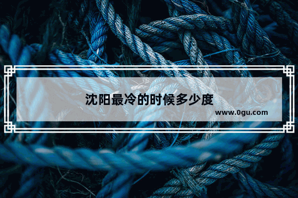 沈阳最冷的时候多少度