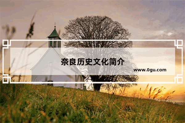 奈良历史文化简介