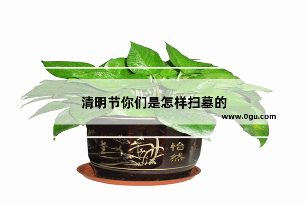 清明节你们是怎样扫墓的