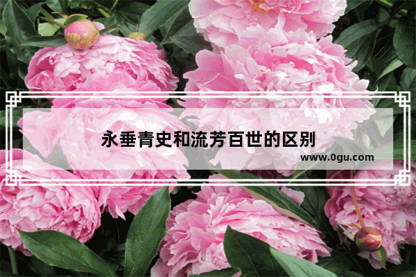 永垂青史和流芳百世的区别