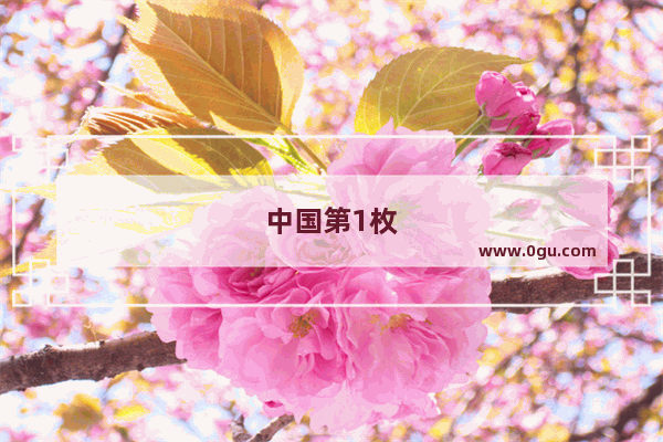 中国第1枚