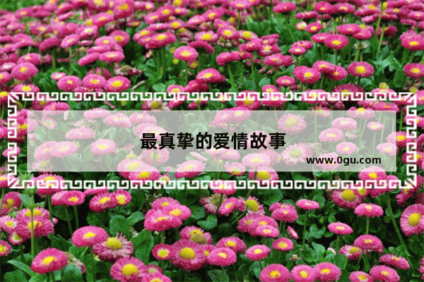 最真挚的爱情故事
