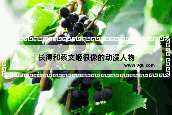 长得和蔡文姬很像的动漫人物