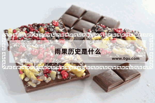 雨果历史是什么