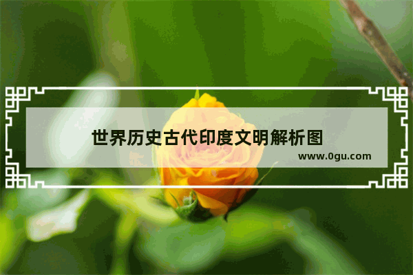 世界历史古代印度文明解析图