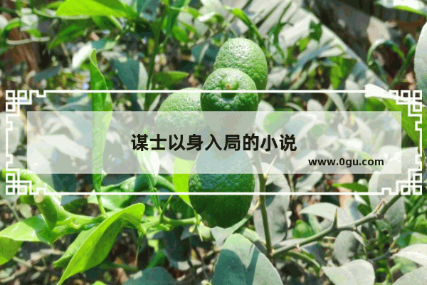 谋士以身入局的小说