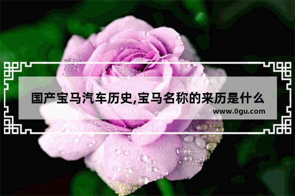 国产宝马汽车历史,宝马名称的来历是什么