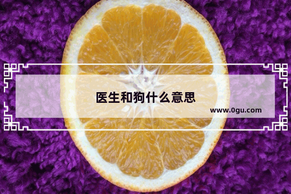 医生和狗什么意思