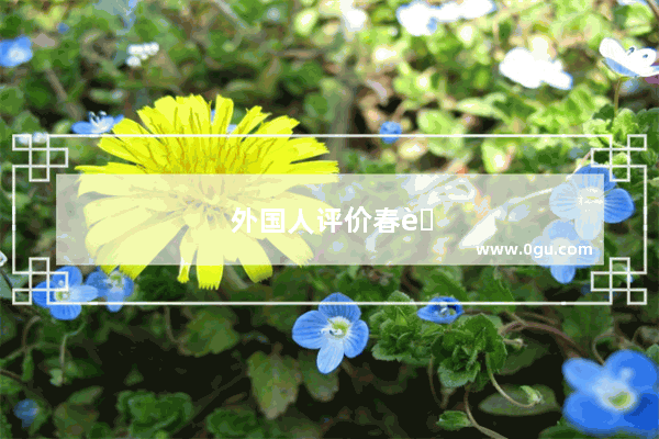 外国人评价春节