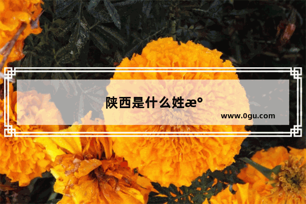 陕西是什么姓氏的发源地