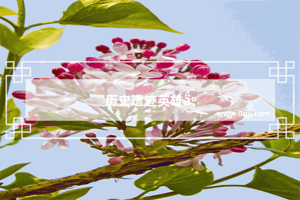历史遗迹英雄人物