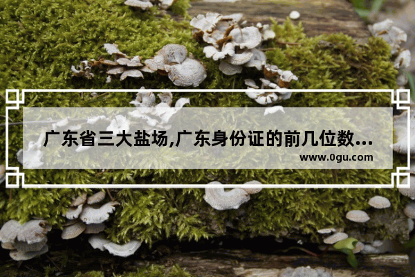 广东省三大盐场,广东身份证的前几位数字是什么