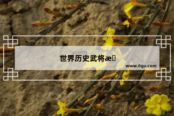 世界历史武将排名前100名