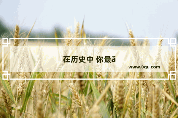 在历史中 你最佩服哪个刺客 为什么