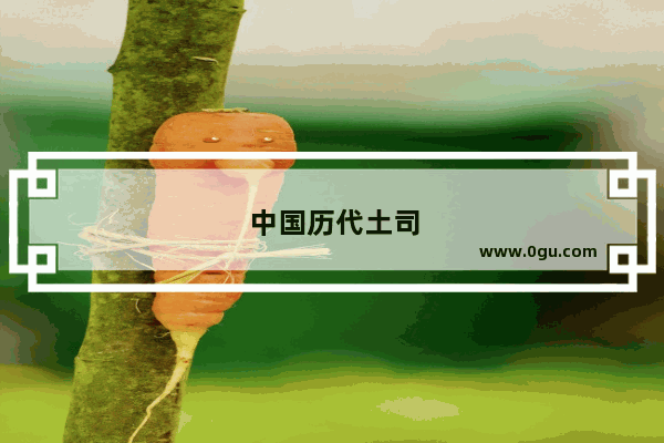 中国历代土司