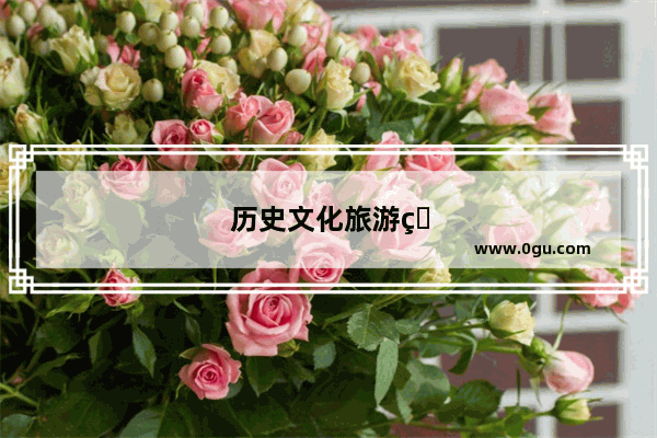 历史文化旅游的定义