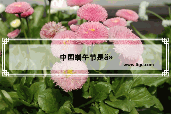 中国端午节是什么意思