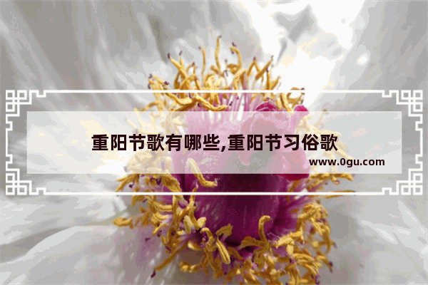 重阳节歌有哪些,重阳节习俗歌