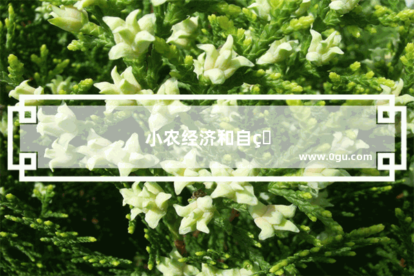 小农经济和自然经济的起止时间
