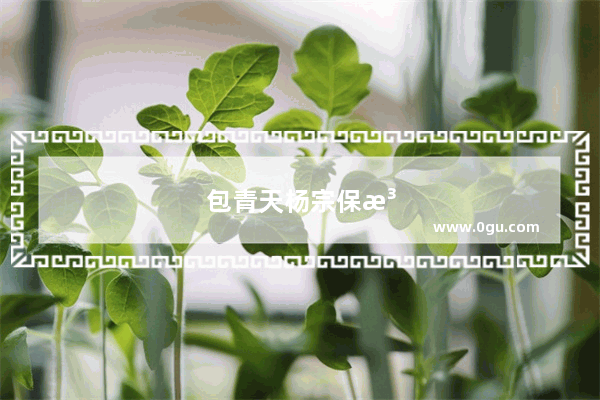 包青天杨宗保法号