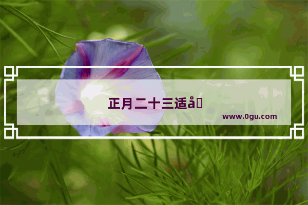 正月二十三适合走亲戚朋友吗