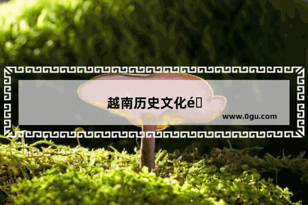 越南历史文化遗迹