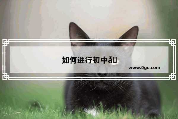 如何进行初中八年级历史期末考试成绩分析