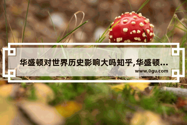 华盛顿对世界历史影响大吗知乎,华盛顿对世界历史影响大吗