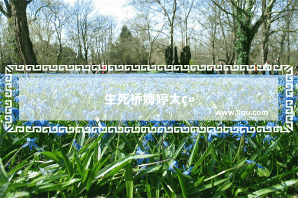 生死桥娉婷大结局