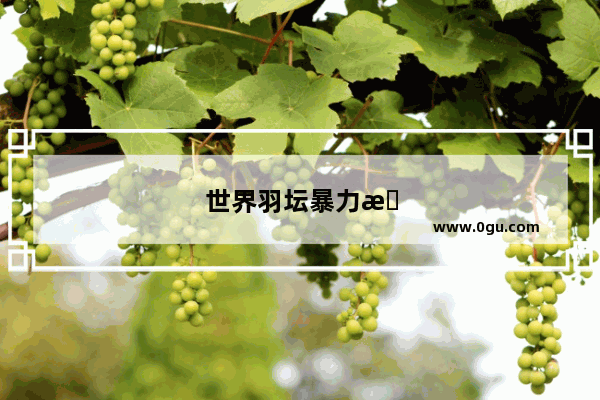 世界羽坛暴力扣杀十大排行榜