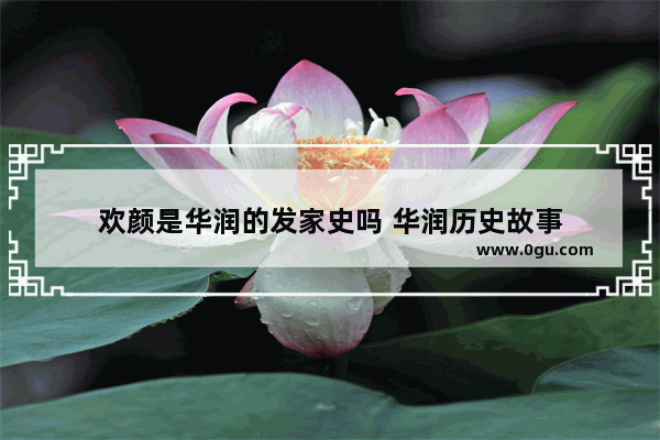 欢颜是华润的发家史吗 华润历史故事