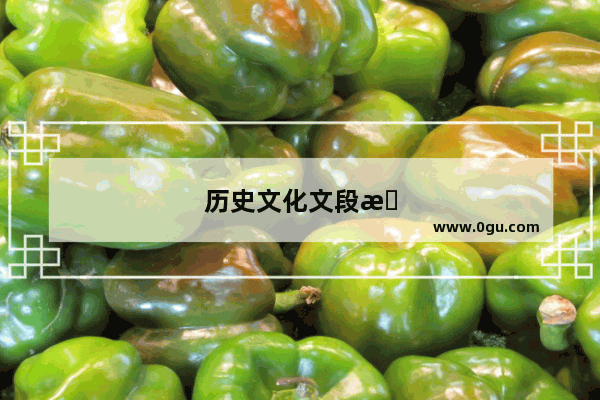 历史文化文段有哪些