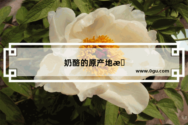 奶酪的原产地是哪里