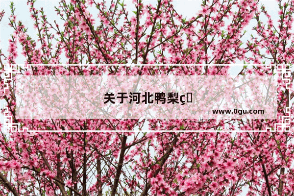 关于河北鸭梨的典故
