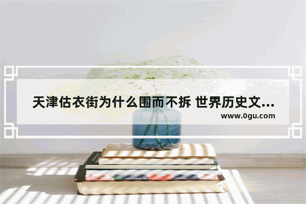 天津估衣街为什么围而不拆 世界历史文化街区建设