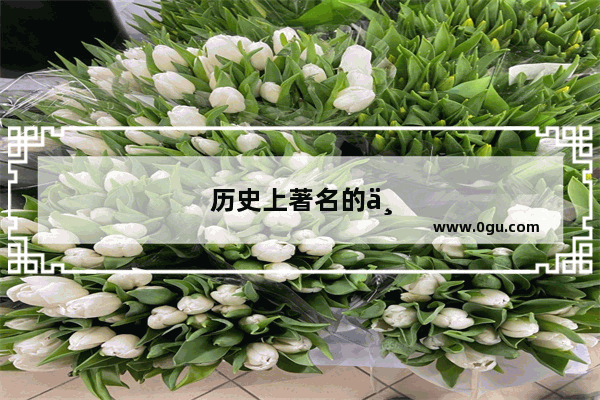 历史上著名的一天故事