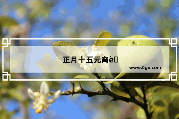 正月十五元宵节你那里怎么过节？南方和北方的风俗及过法有哪些不同