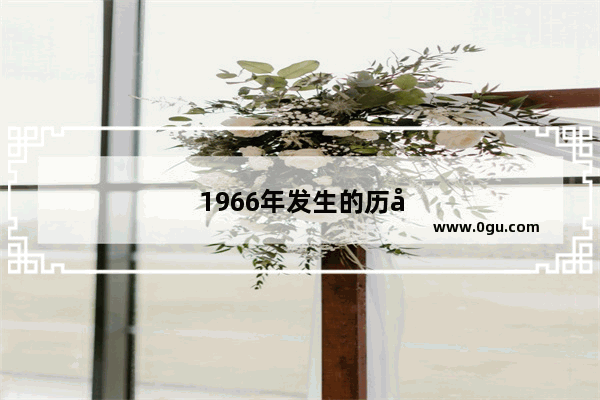 1966年发生的历史事件有哪些