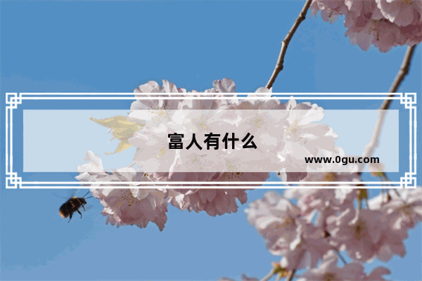 富人有什么