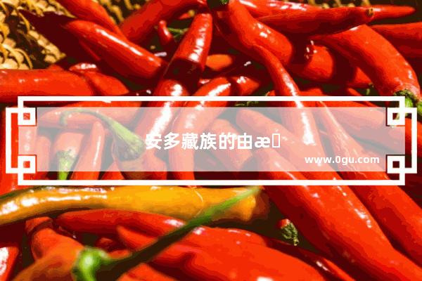 安多藏族的由来