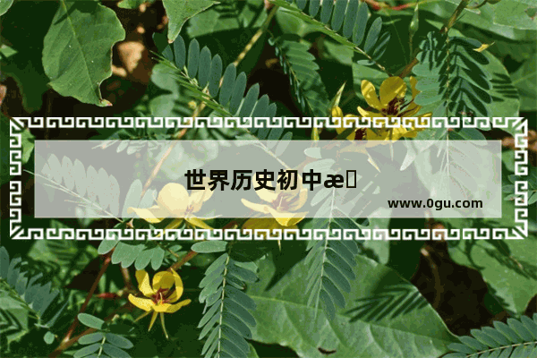 世界历史初中时间轴