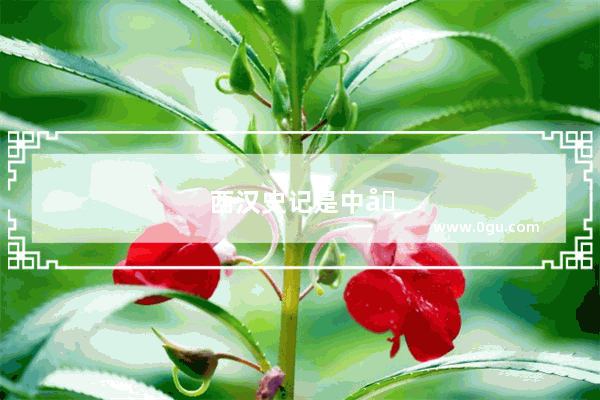 西汉史记是中国历史第一部什么