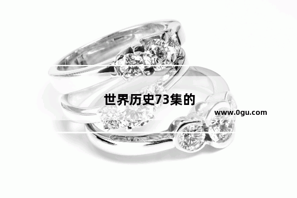 世界历史73集的概括内容