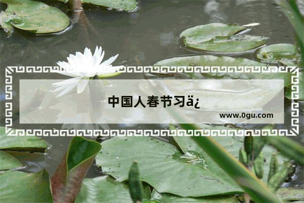 中国人春节习俗是什么