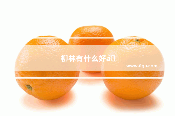 柳林有什么好吃的地方
