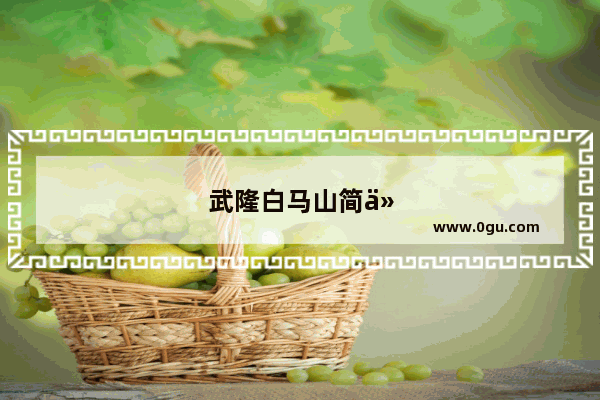 武隆白马山简介