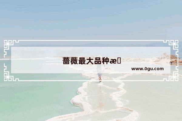 蔷薇最大品种排名