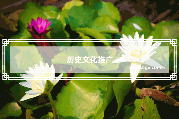 历史文化推广