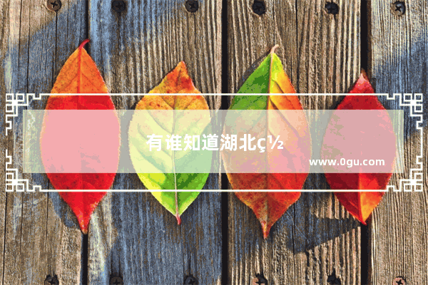 有谁知道湖北罗田