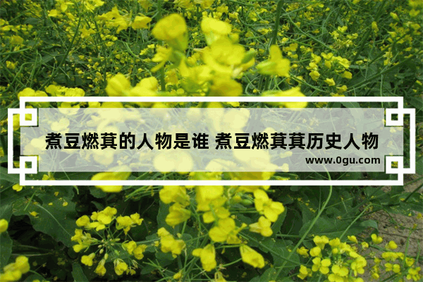 煮豆燃萁的人物是谁 煮豆燃萁萁历史人物